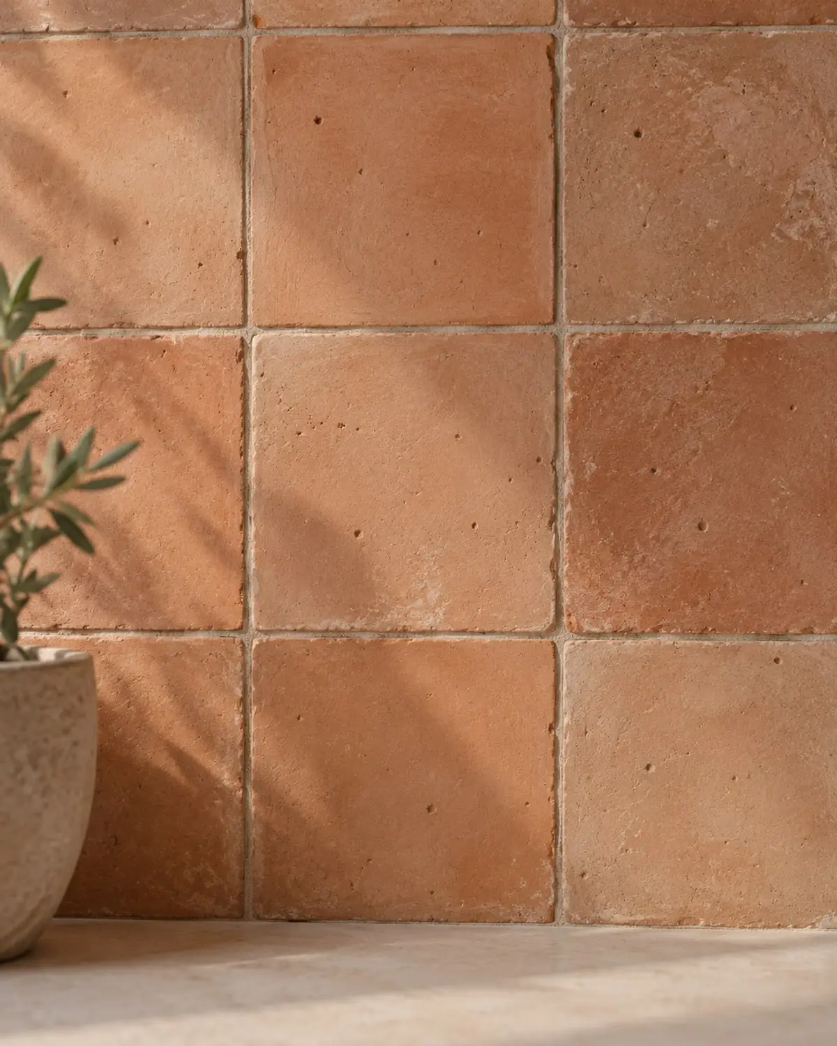 Paviment de rajola de terra cuita amb l’ombra d’una olivera